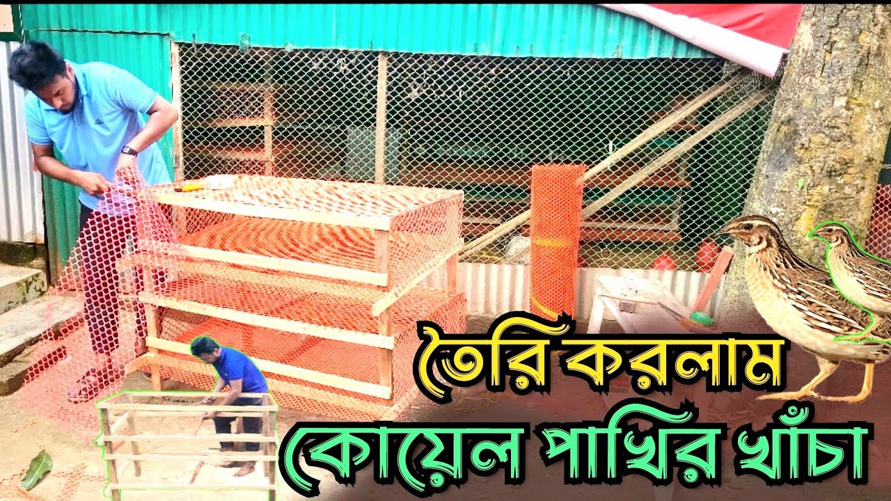 শুরু থেকে শেষ পর্যন্ত খাঁচা তৈরি ভিডিও  আসা করি ভালো লাগবে #কোয়েল_পাখি_পালন how to make bird cage
