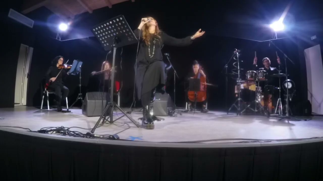 Gli uccelli di F  Battiato