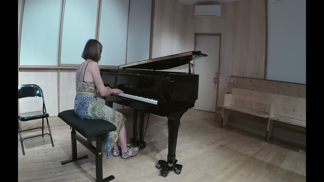 Mini concert du 3 mai à Paris - Schubert - Haydn - Glinka - J-1 mois avant concours