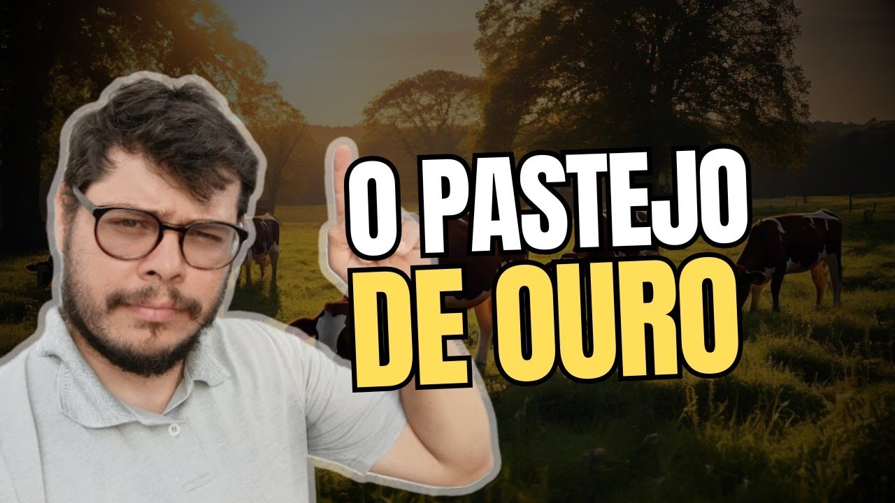 O Pastejo na Hora Errada tá Custando LEITE Todo Dia