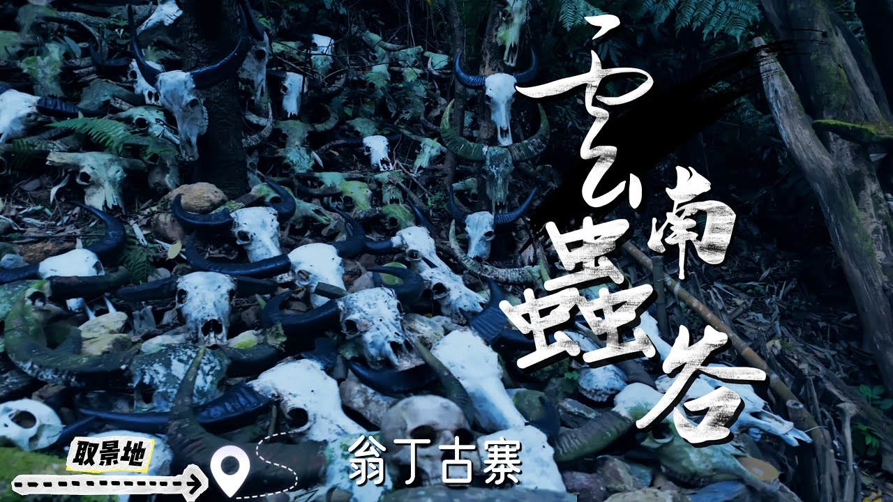 用云南虫谷的氛围打开遮龙寨取景地-翁丁古寨