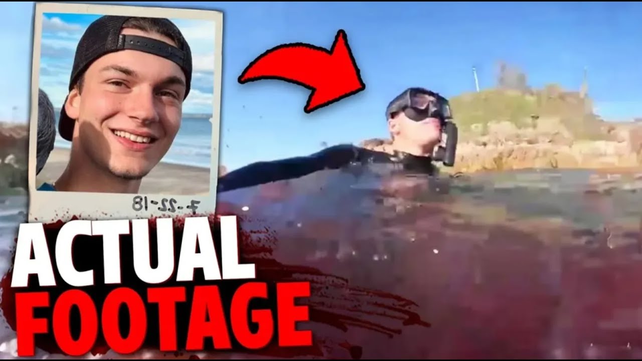 6 Most DISTURBING Animal Attacks In Shallow Water...