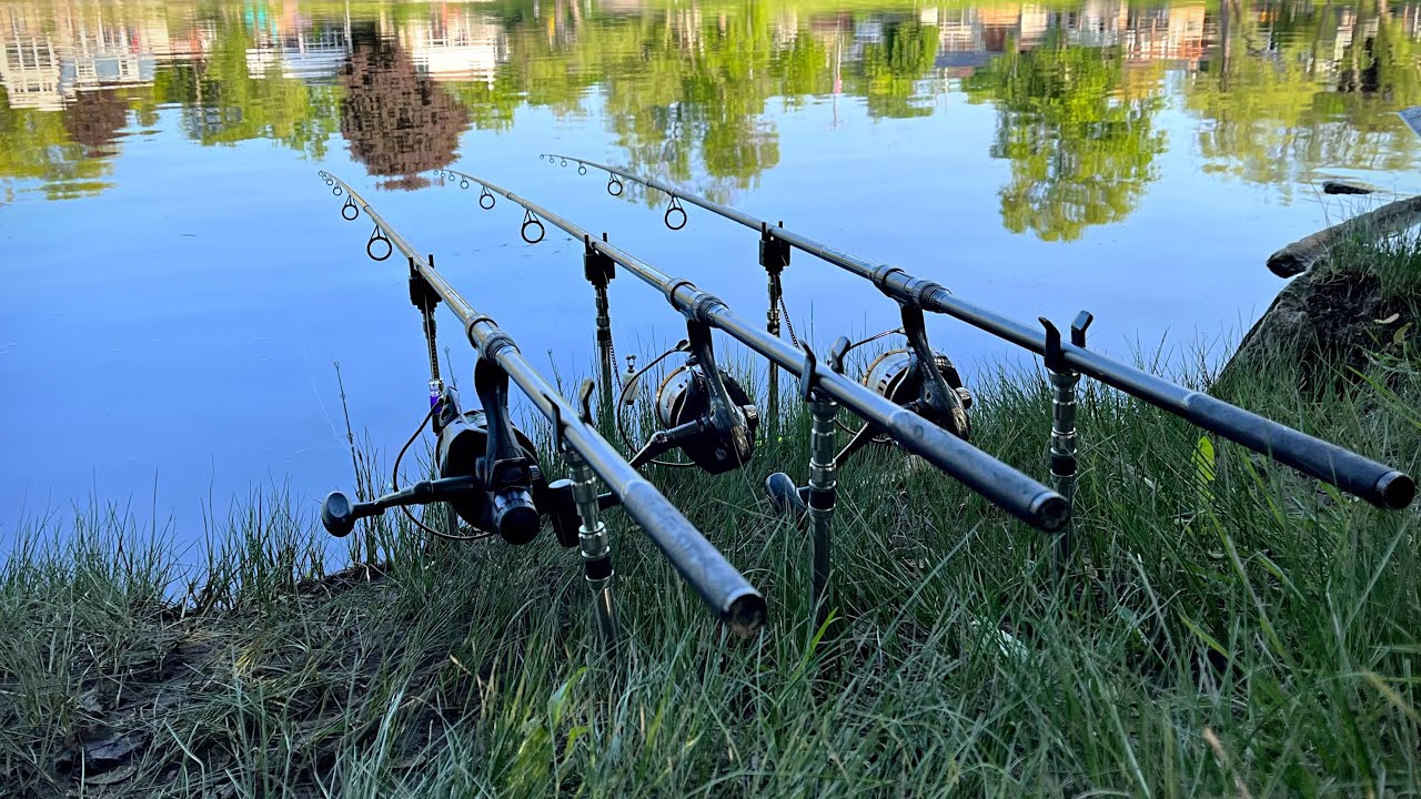 CARP RUN Compilation (4k)