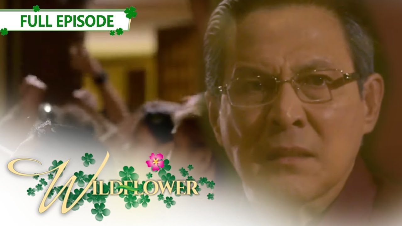 Full Episode 251 | Wildflower with ENG SUB | Maja Salvador, Joseph Marco, RK Bagatsing