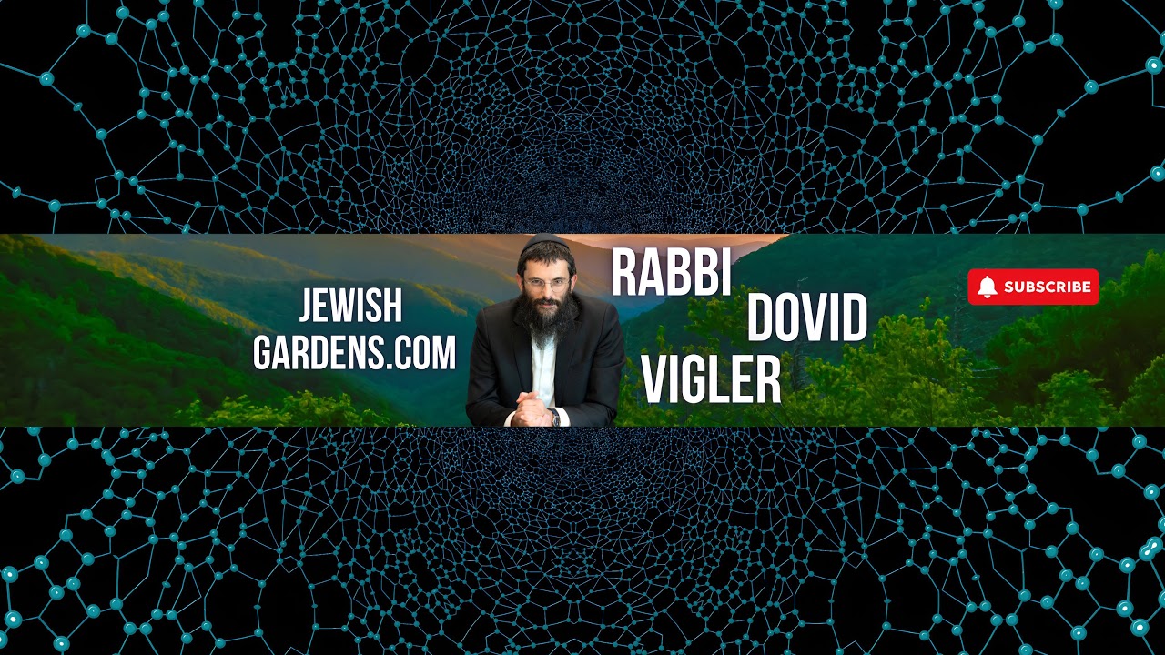 Chabad of Palm Beach Gardens Live Stream