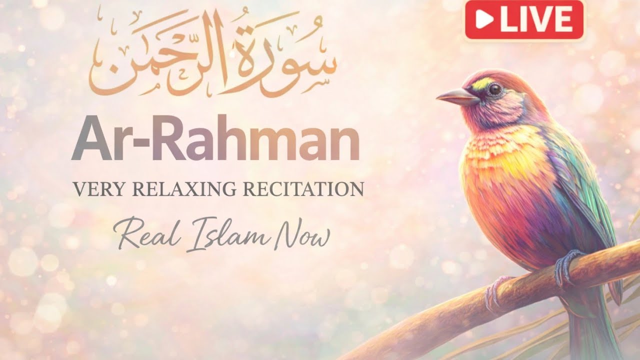 🔴 LIVE NOW | Surah Rehman | This Recitation Will Touch Your Heart | Real Islam Now