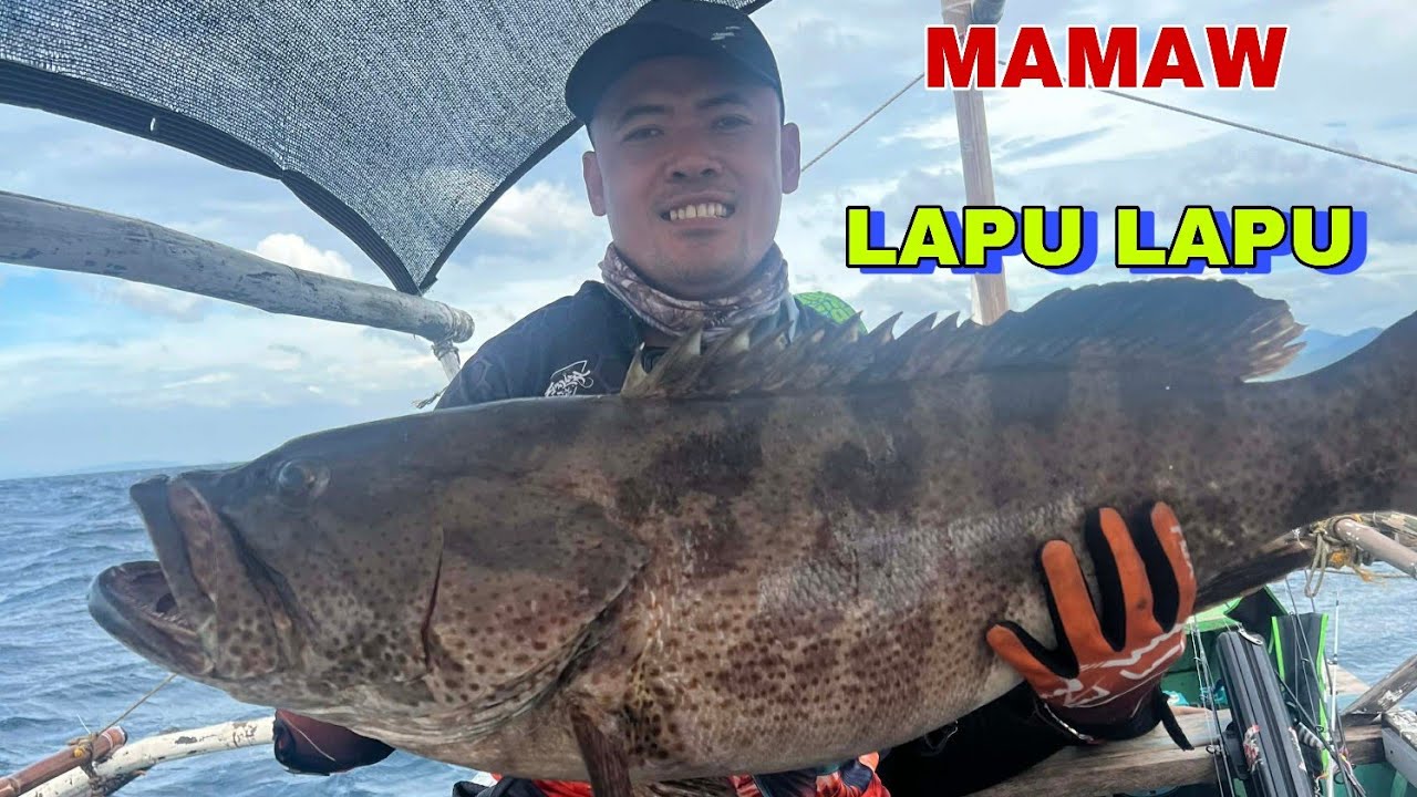 Natagpuan ang bahay ng malaking LAPU LAPU 