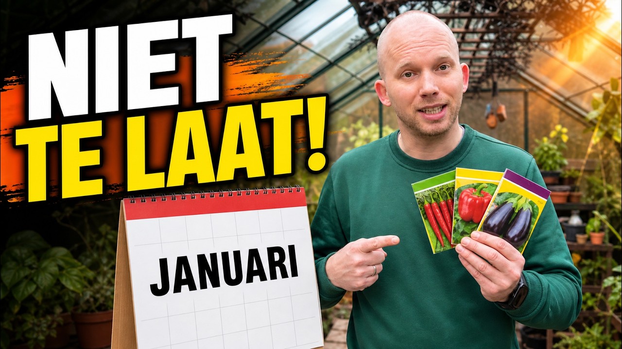 Pepers, Paprika’s & Aubergines Zaaien in Januari | Perfect Begin in Koud Klimaat 🌱 | De Moesketier