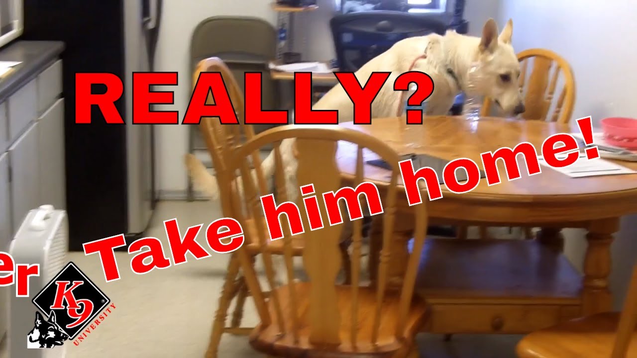 It's 