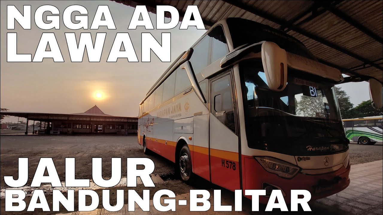 Harapan Jaya BD-01 Bandung-Blitar‼️Penumpang Selalu Full Seat, Apa Rahasianya?