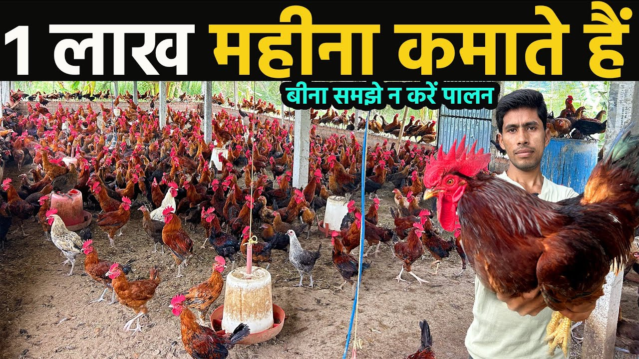 Deshi poultry farming॥desi murgi farm business॥farming business ideas in India