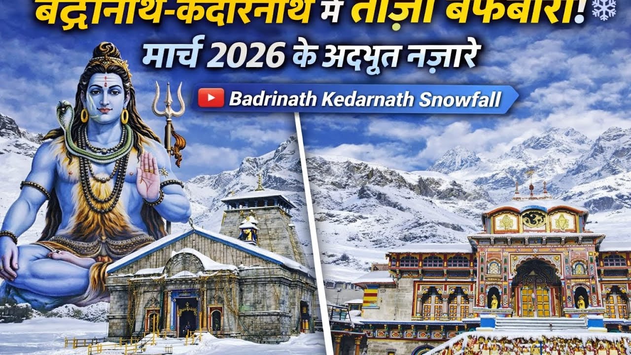 केदारनाथ, बद्रीनाथ औली में हुई जमकर बर्फबारी। Auli, Kedarnath, Badrinath Snowfall। #snowfall 