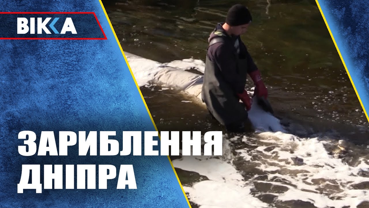 Рекордне зариблення: у Кременчуцьке водосховище випустять 67 тонн мальків