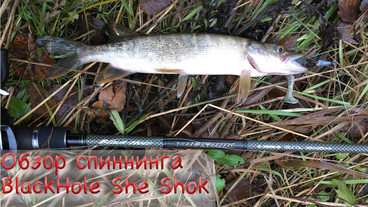 Обзор спиннинга BlackHole The Shok 229 5-21