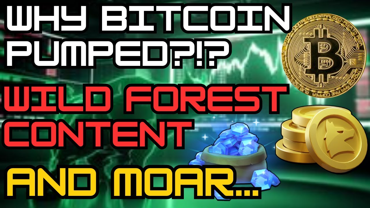 WHY BITCOIN PUMPED?!? | WILD FOREST CREATOR PROGRAM | RONIN CHAIN
