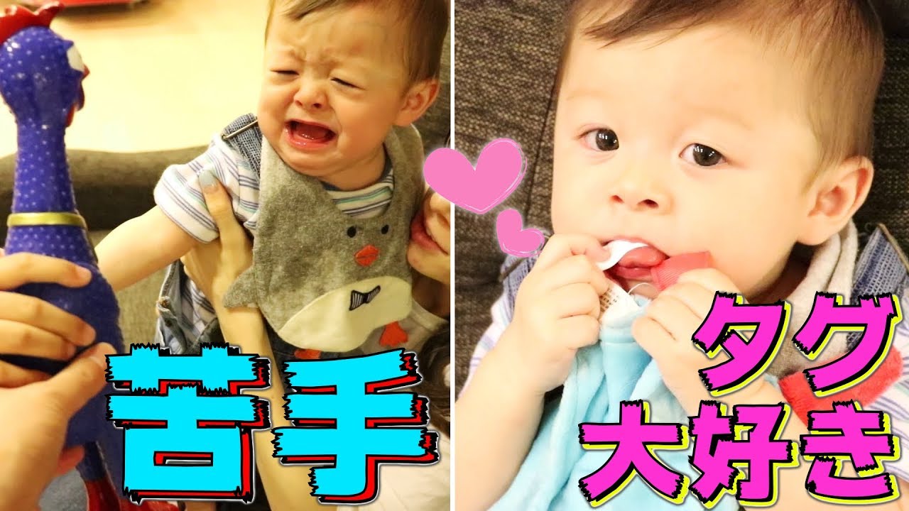 赤ちゃん タグ大好き！しぃしぃ ニワトリのおもちゃ苦手みたい【いおりくんTV 日常と休日】