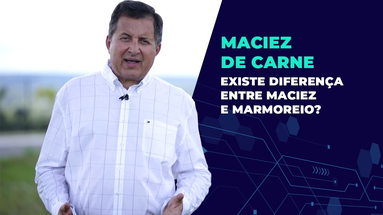 Maciez de carne - Existe diferen&ccedil;a entre maciez e marmoreio?