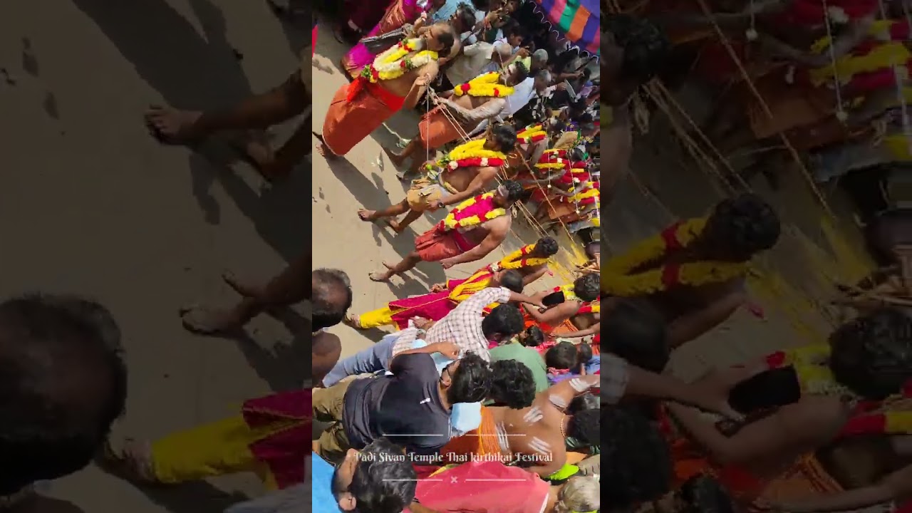 Padi Sivan Temple Thai Kerithikai Festival #padi #padisivantemple#chennai #2026
