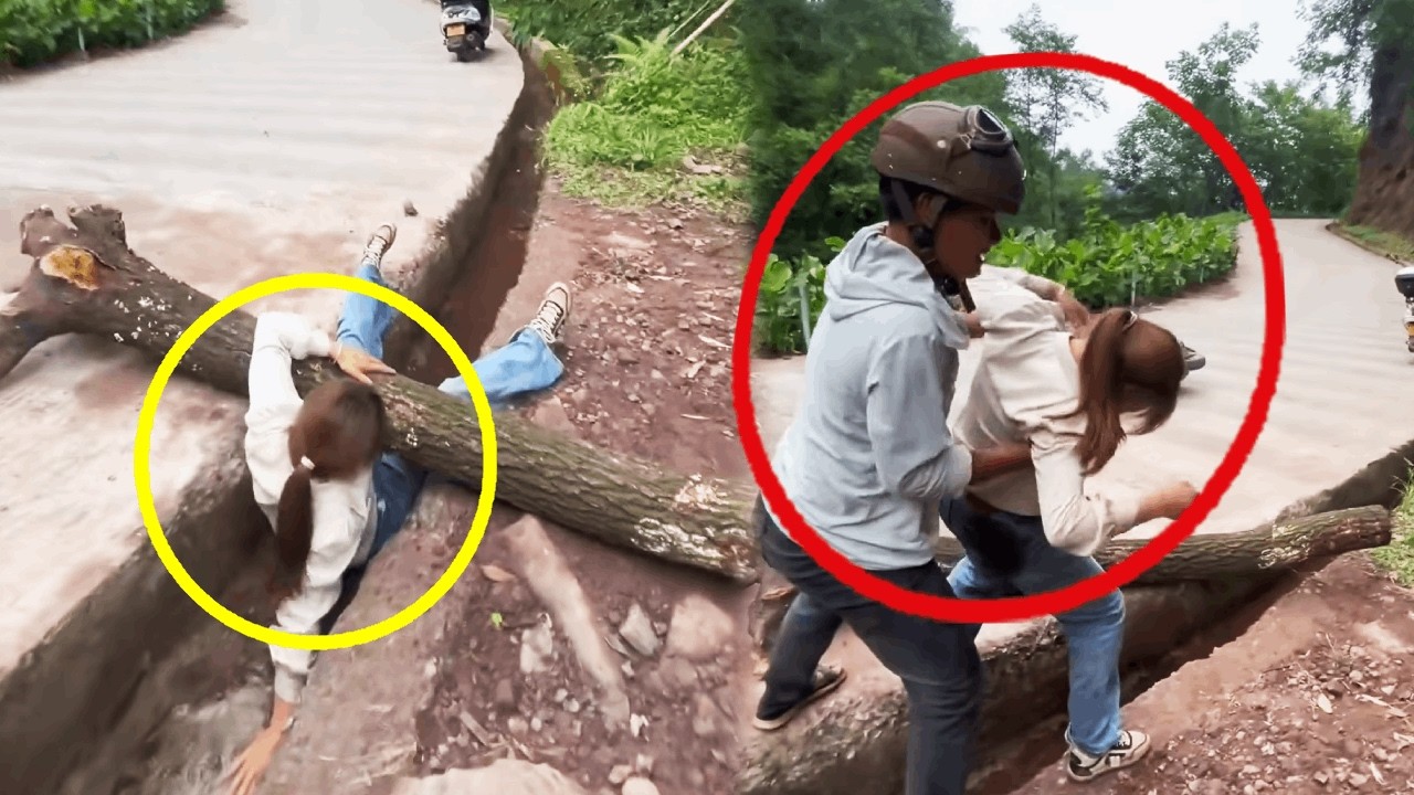 A beautiful woman fell into a ditch and was crushed by a tree; a kind person rescued her.