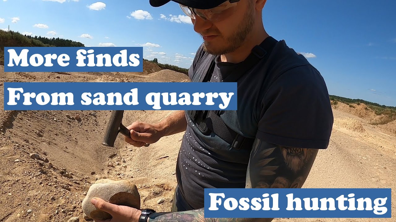 Exploring sand quarry to look for fossils - Fossil hunting