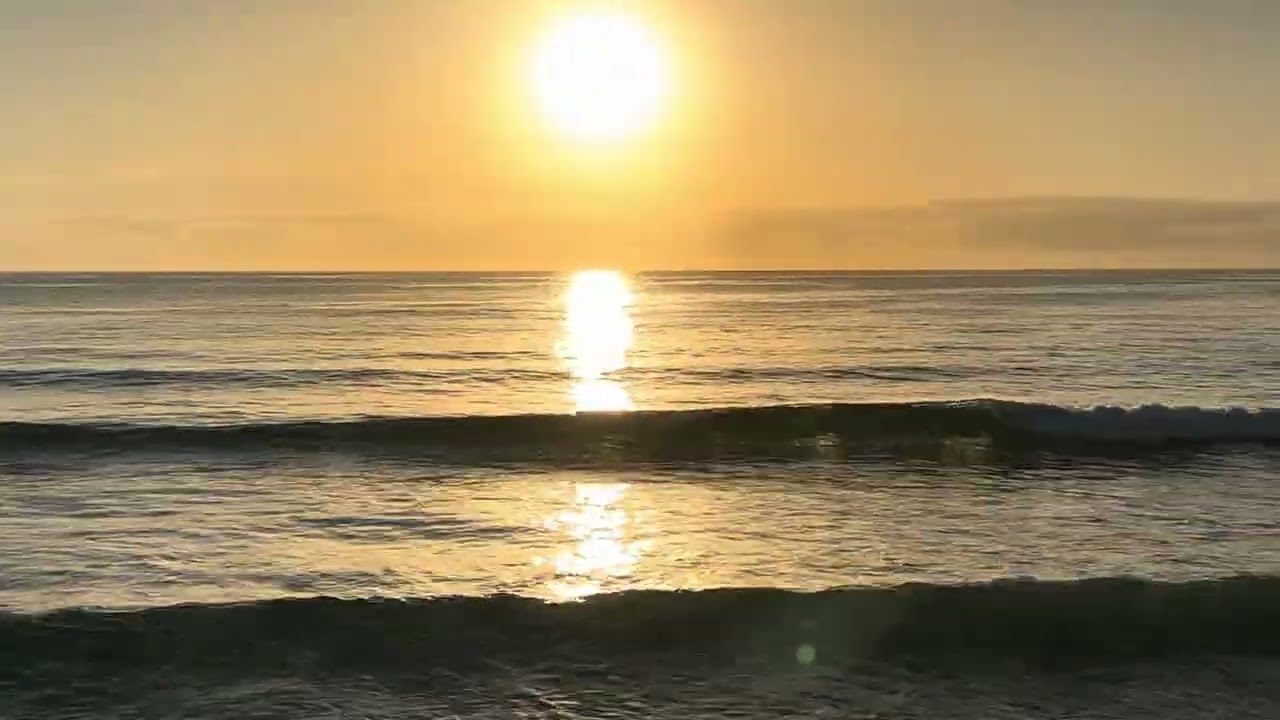 30.01.2026 Sydney Surf Report Dee Why Beach Australia
