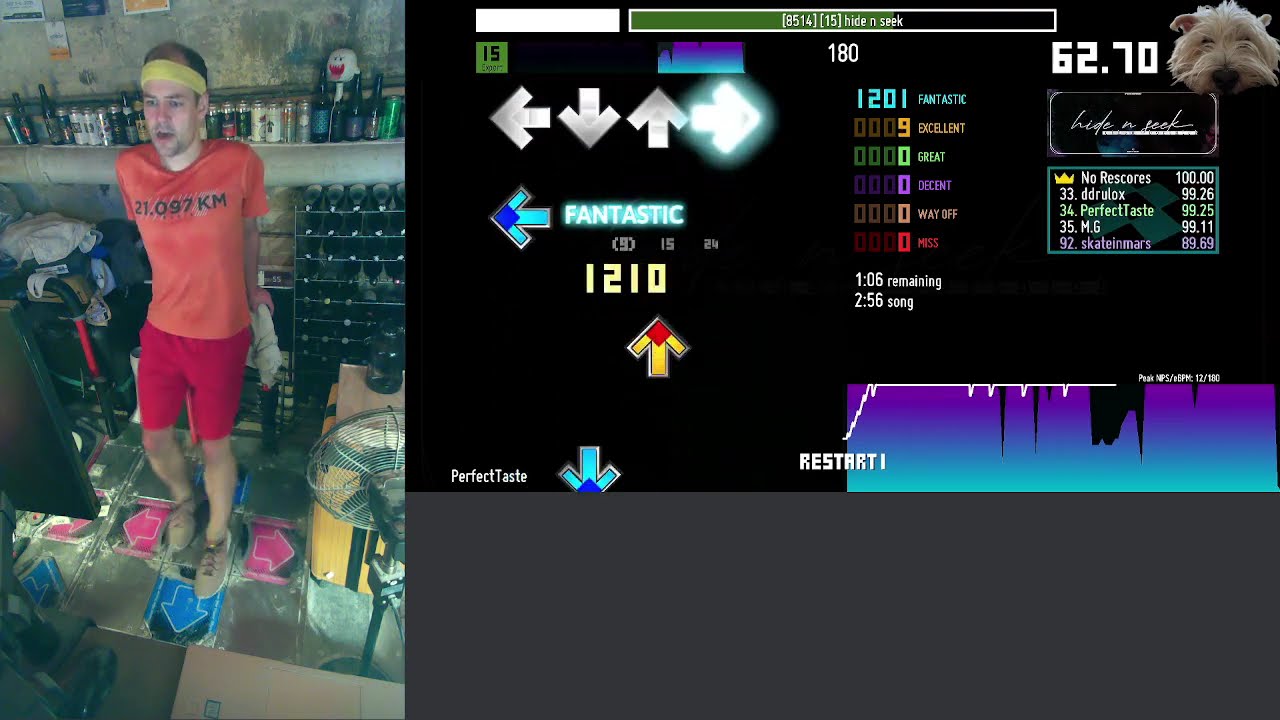 PerfectTaste - ITG - [15] hide n seek 99.88%/98.61% EX (muted)