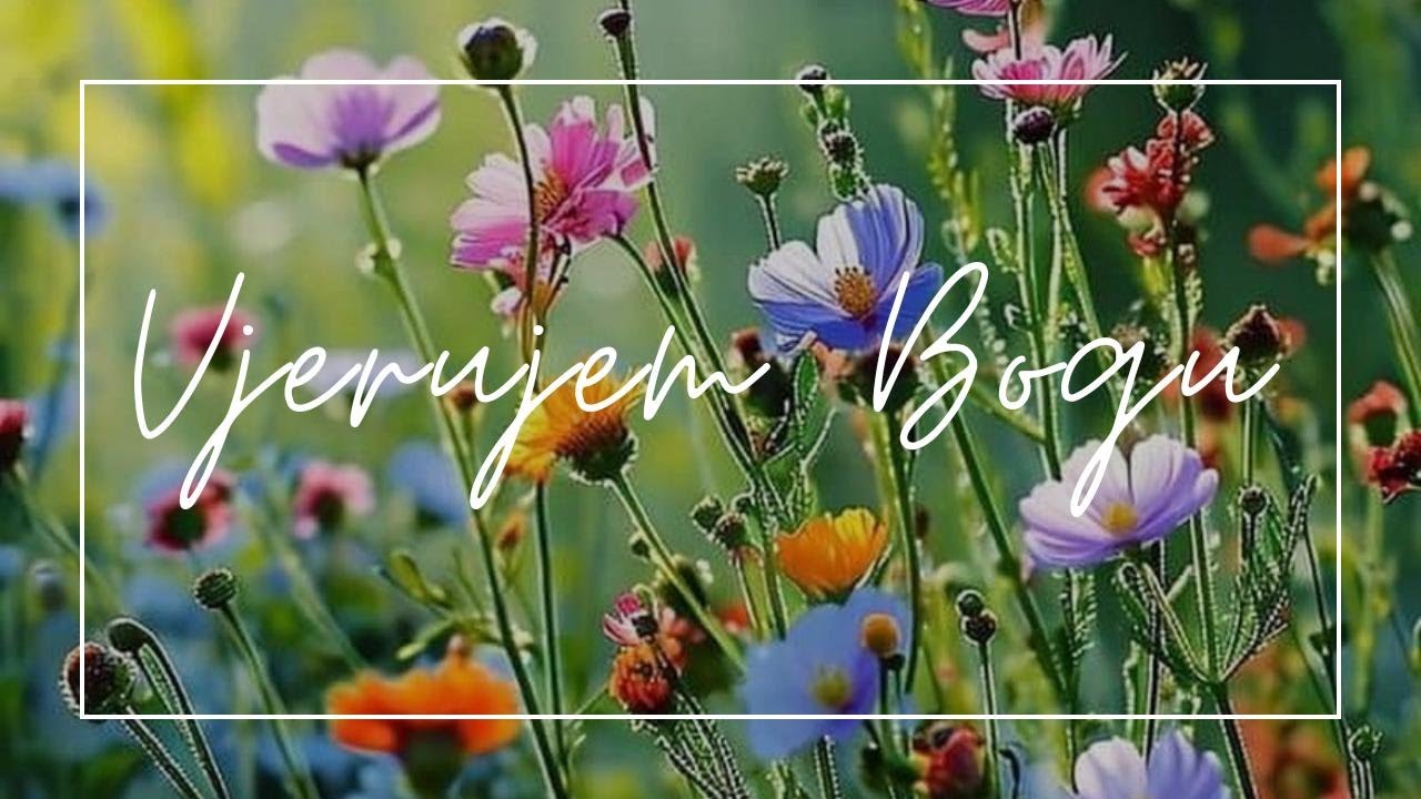 Andrea Gelemanović - Vjerujem Bogu/ Elevation Worship - Trust In God