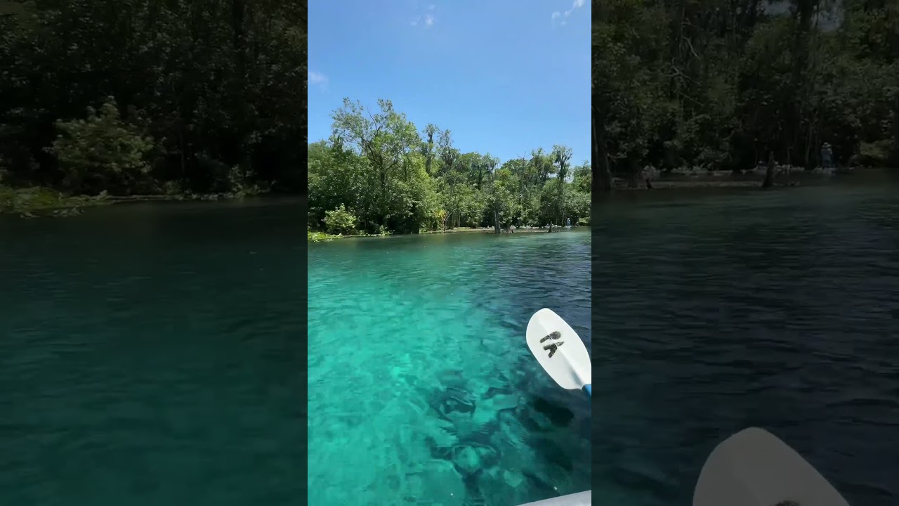 The Stunning Silver Springs, Florida