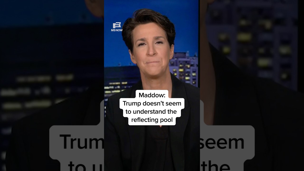 Maddow: Trump doesn't seem to understand the reflecting pool
