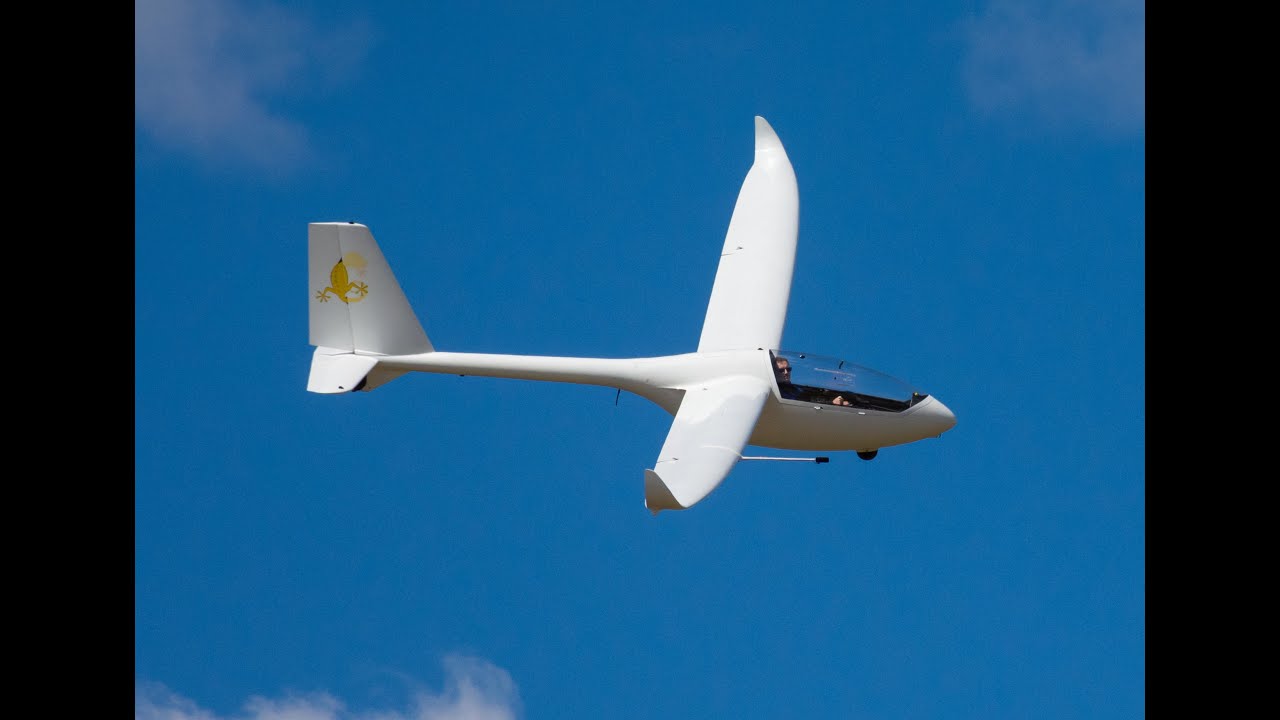 Gekon, kwietniowe latanie. Gekon, april flights.