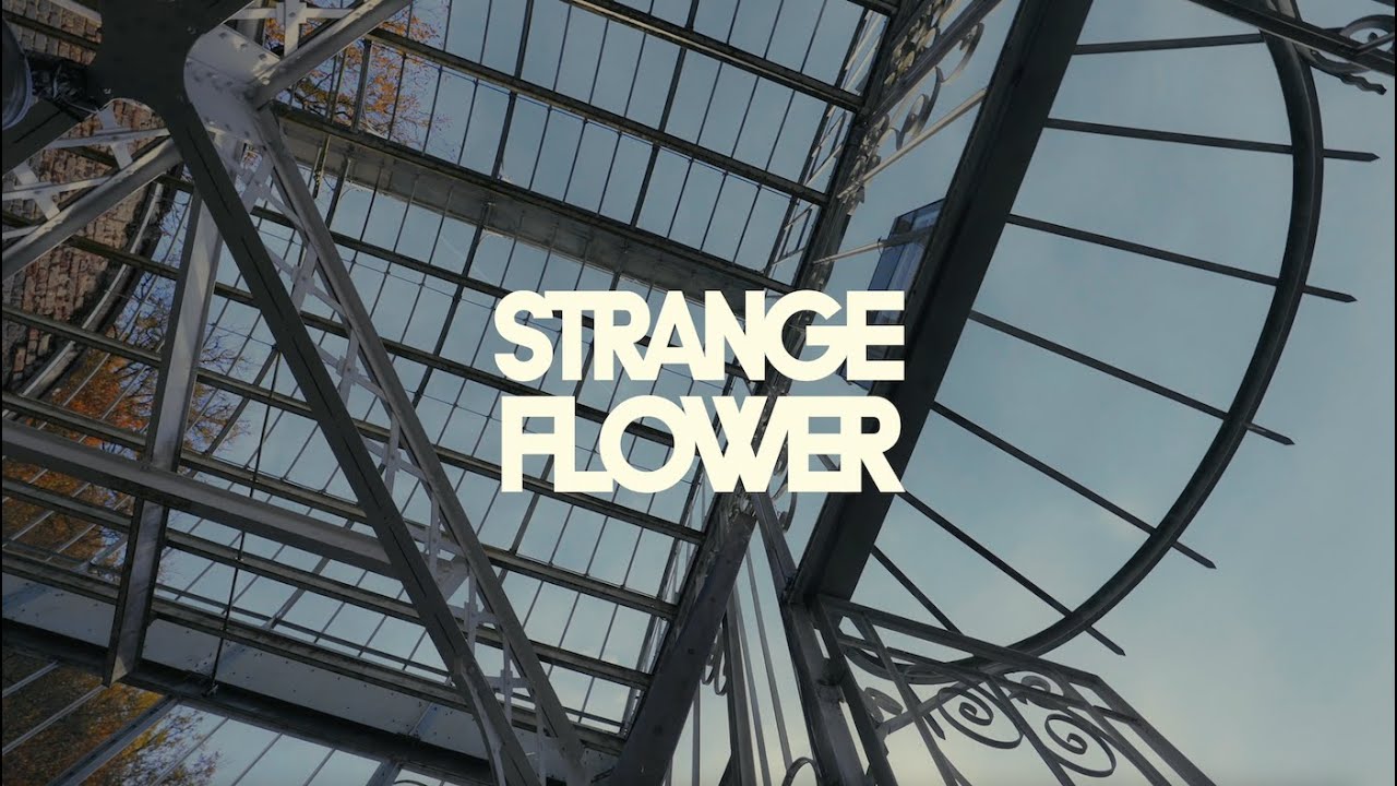 Balm - Strange Flower | Official Video