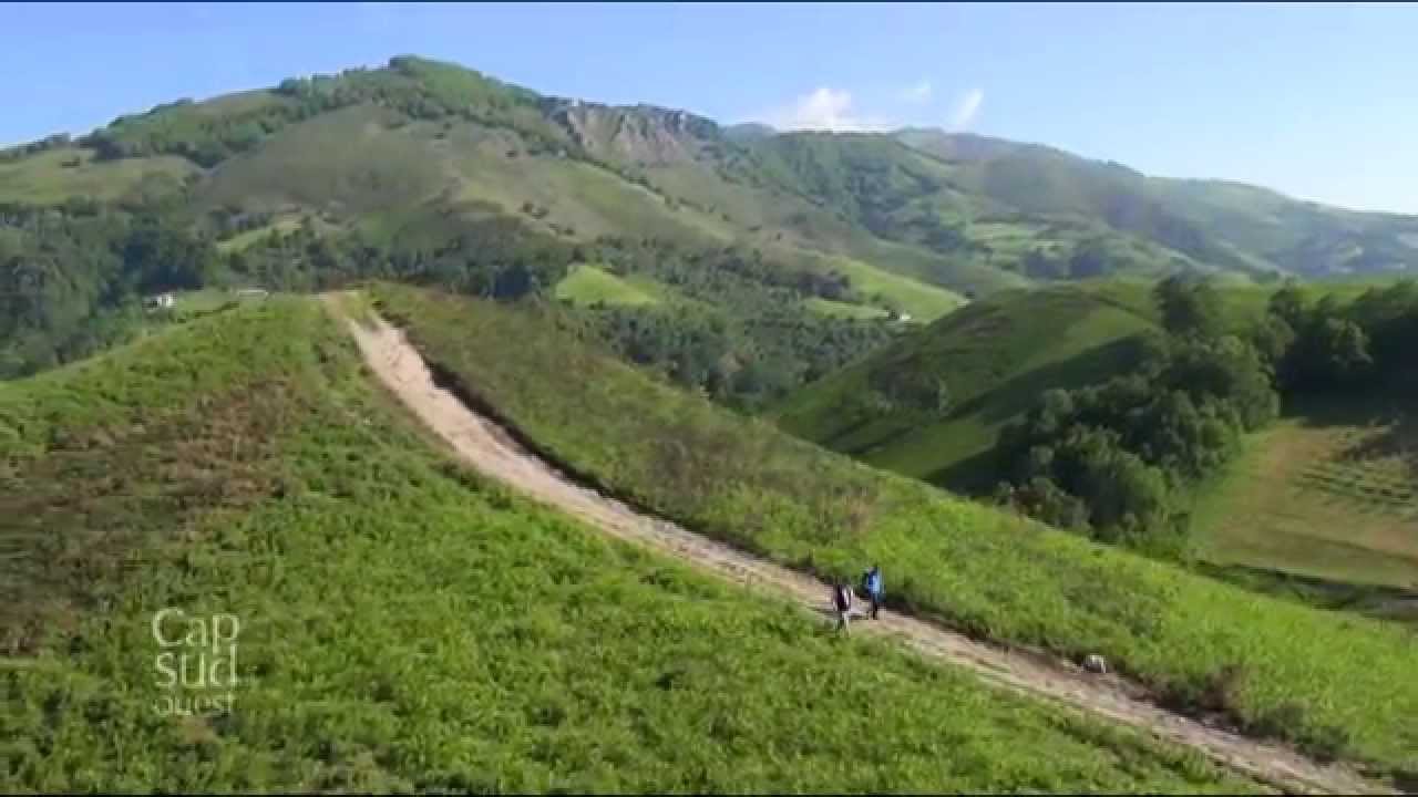 Cap Sud-Ouest - Le porc basque