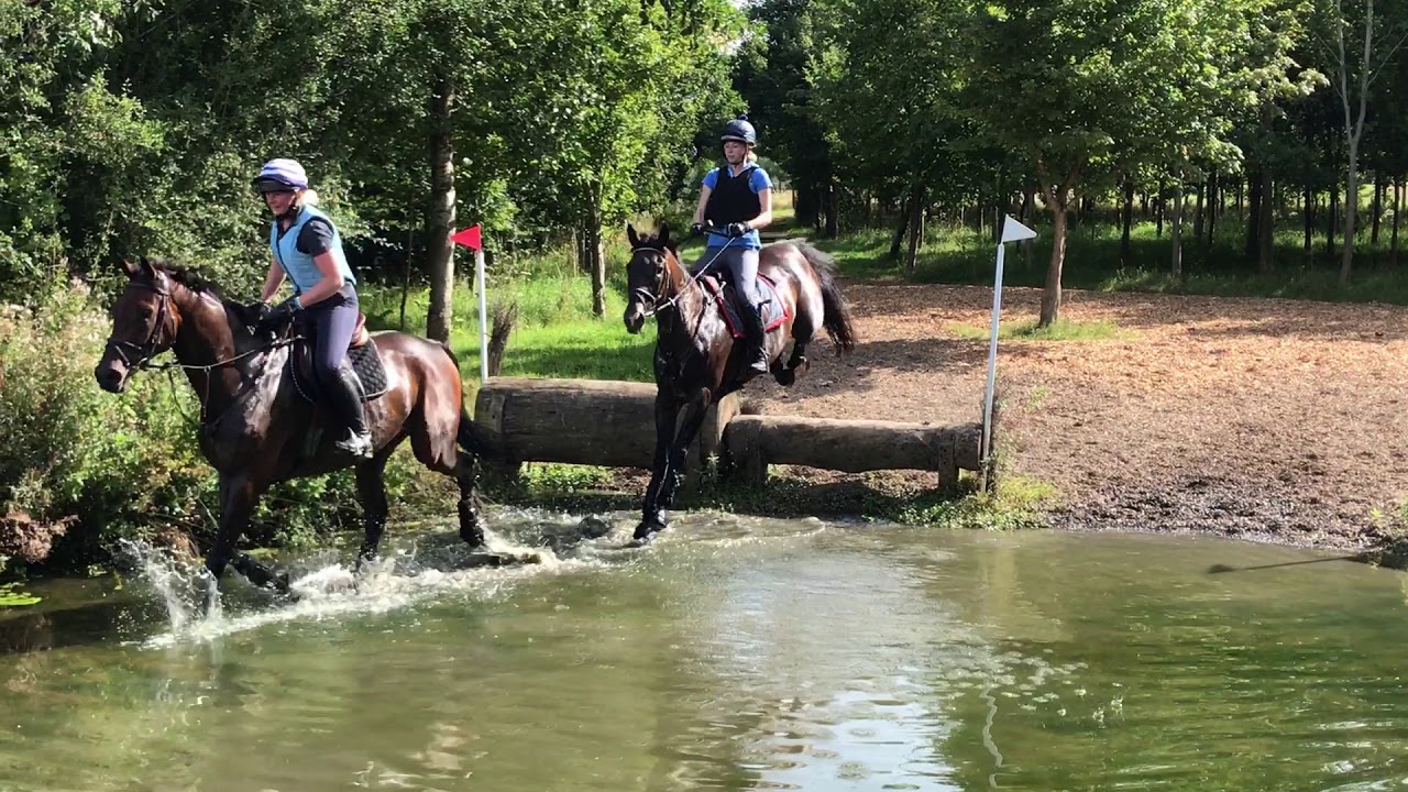 HorseQuest Ref: 178198