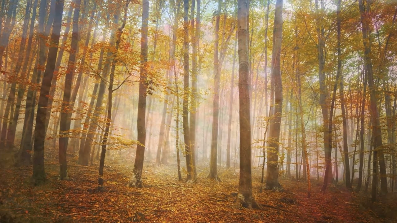 &ldquo;Autumn Breeze&rdquo; by James &lsquo;PJ&rsquo; Spraggins (ft. Eric Essix)
