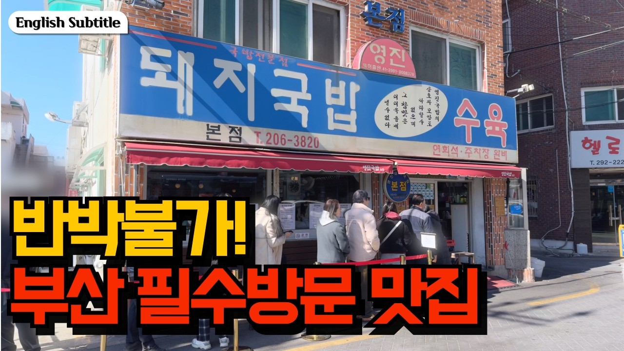 더이상 논란 반박 그만! 영진돼지국밥 강력 추천 맛집 | Busan Locals' #1 Choice: Youngjin Pork Soup
