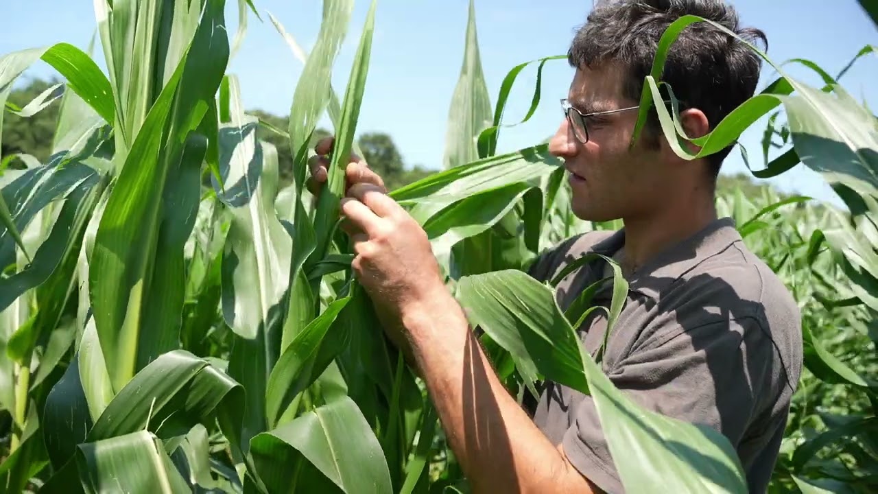 Alexis DOYON agriculteur et ancien élève de MFR