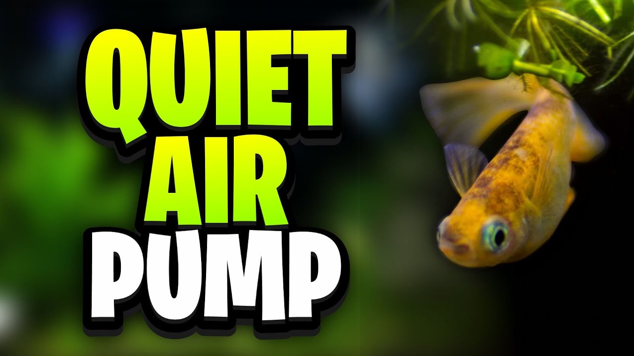 The Quietest Aquarium Air Pump On The Market For Nano Tanks!