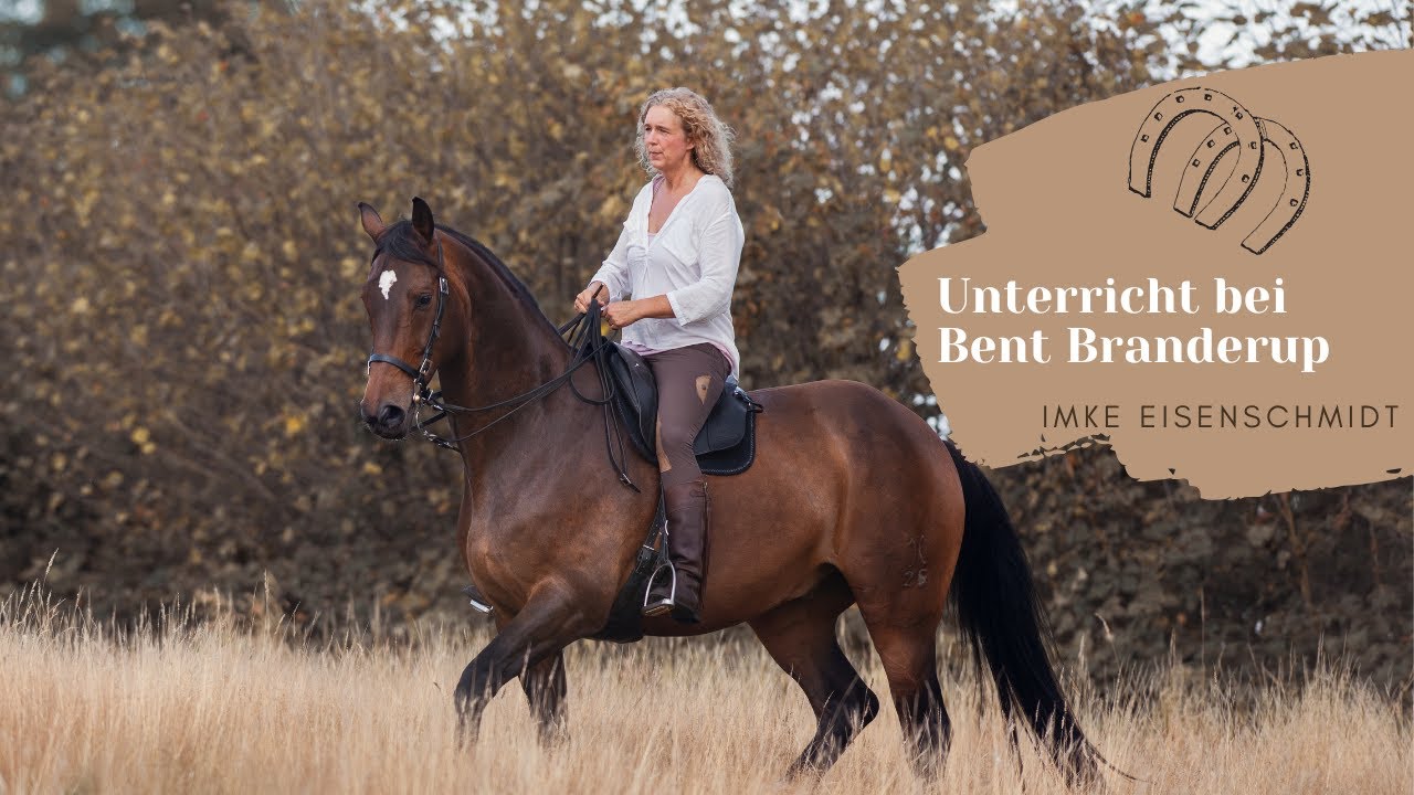 Unterricht in Akademischer Reitkunst bei Bent Branderup September 2017
