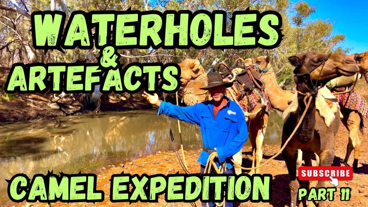 Camel Expedition. Part 11. Waterholes and artefacts.