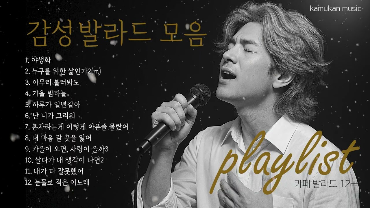 감성 자극 노래, 감성 발라드 음악 