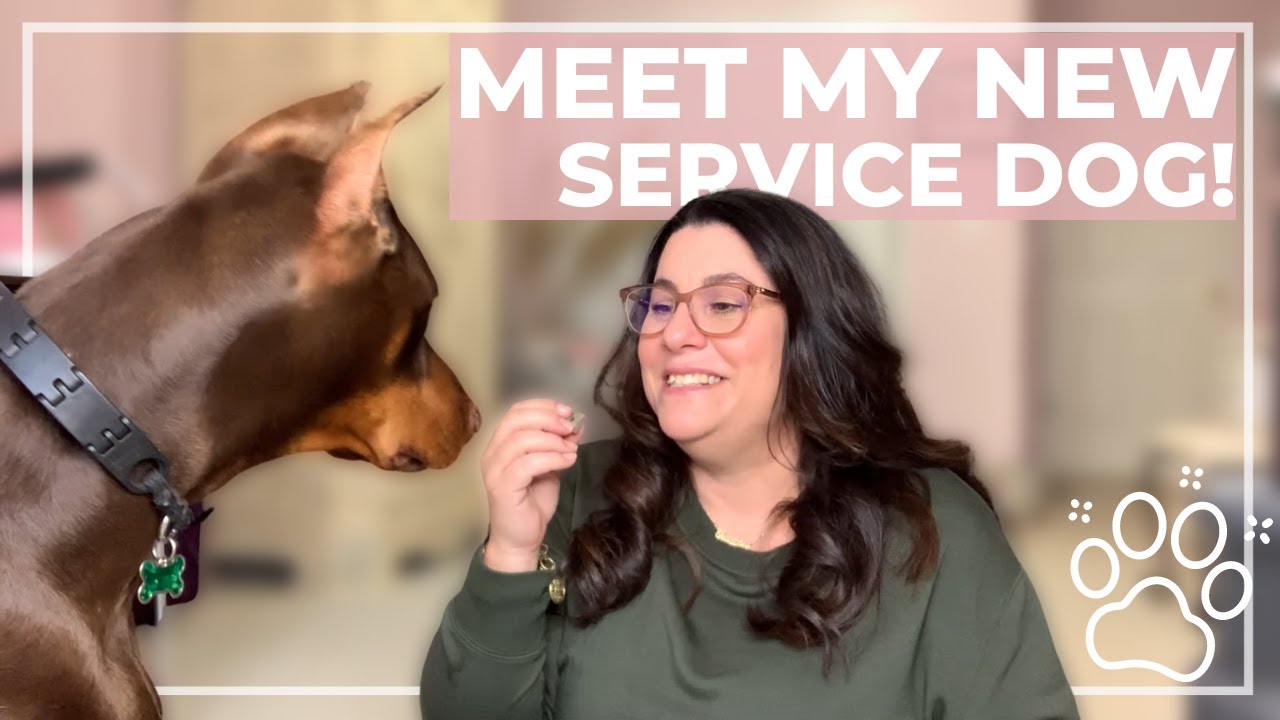 How I met and trained my new service dog!!! #servicedog #tacotheservicedoberman