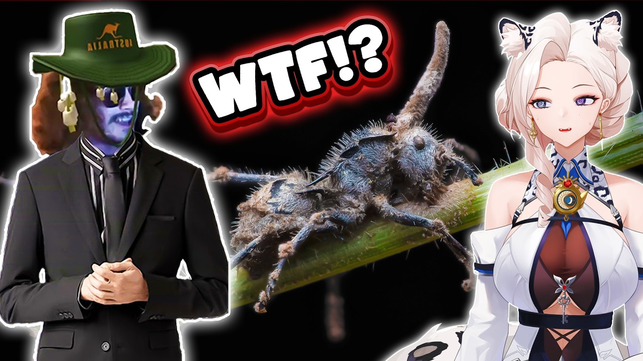 Austrailia STILL Shocks Me! | Australian Snow-Leopard Reacts to More Parz