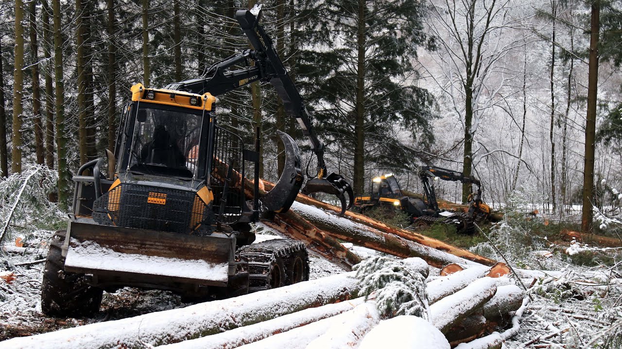 Coupe de Douglas dans le Morvan, Ponsse Bear / Ponsse Buffalo