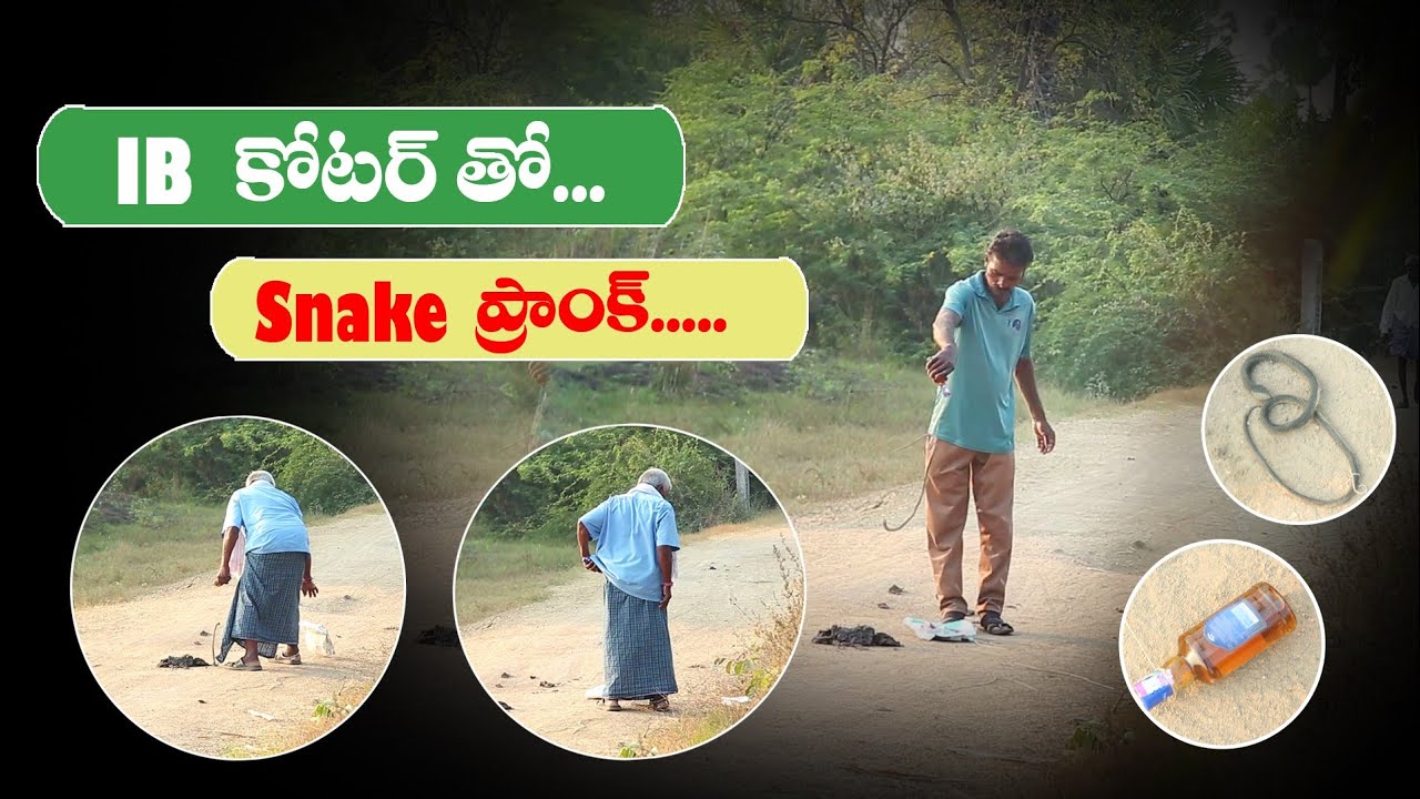 IB  కోటార్ తో snake prank#snake prank#funny #trending