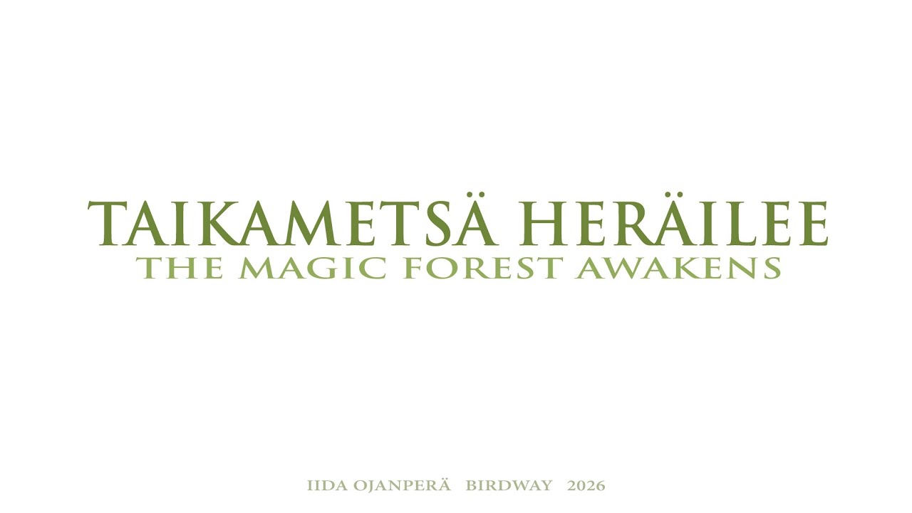 Taikametsä heräilee - The Magic Forest Awakens (BirdWay)
