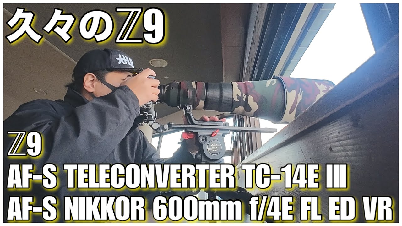 【野鳥撮影】久々にZ9で鳥撮り！- Z9 × AF-S NIKKOR 600mm f/4E FL ED VR × TC-14E Ⅲ -