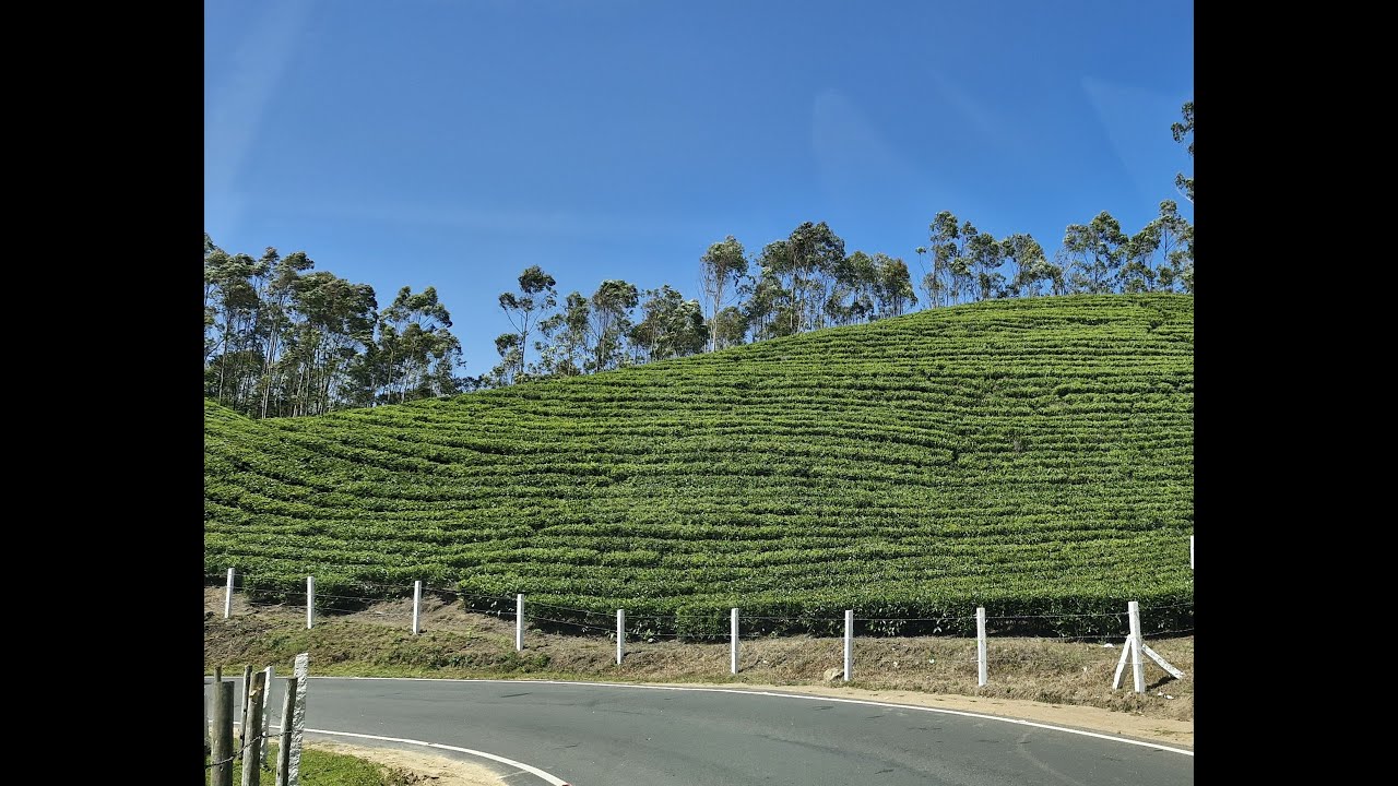 South India Roads