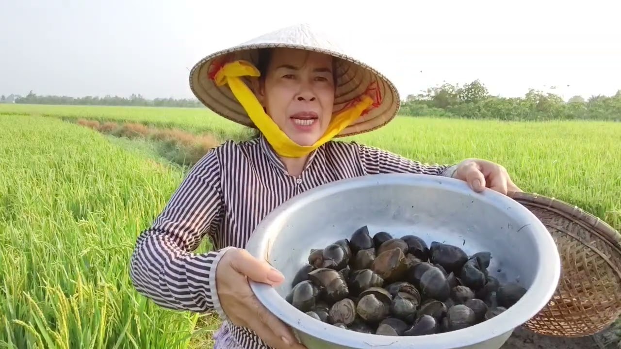 Mời cả nhà cùng mình ra đồng bắt ốc hái rau./CLMT