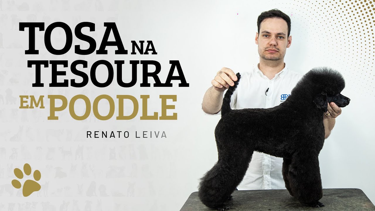 Renato Leiva - Tosa na Tesoura em Poodle (German Clip para competição)