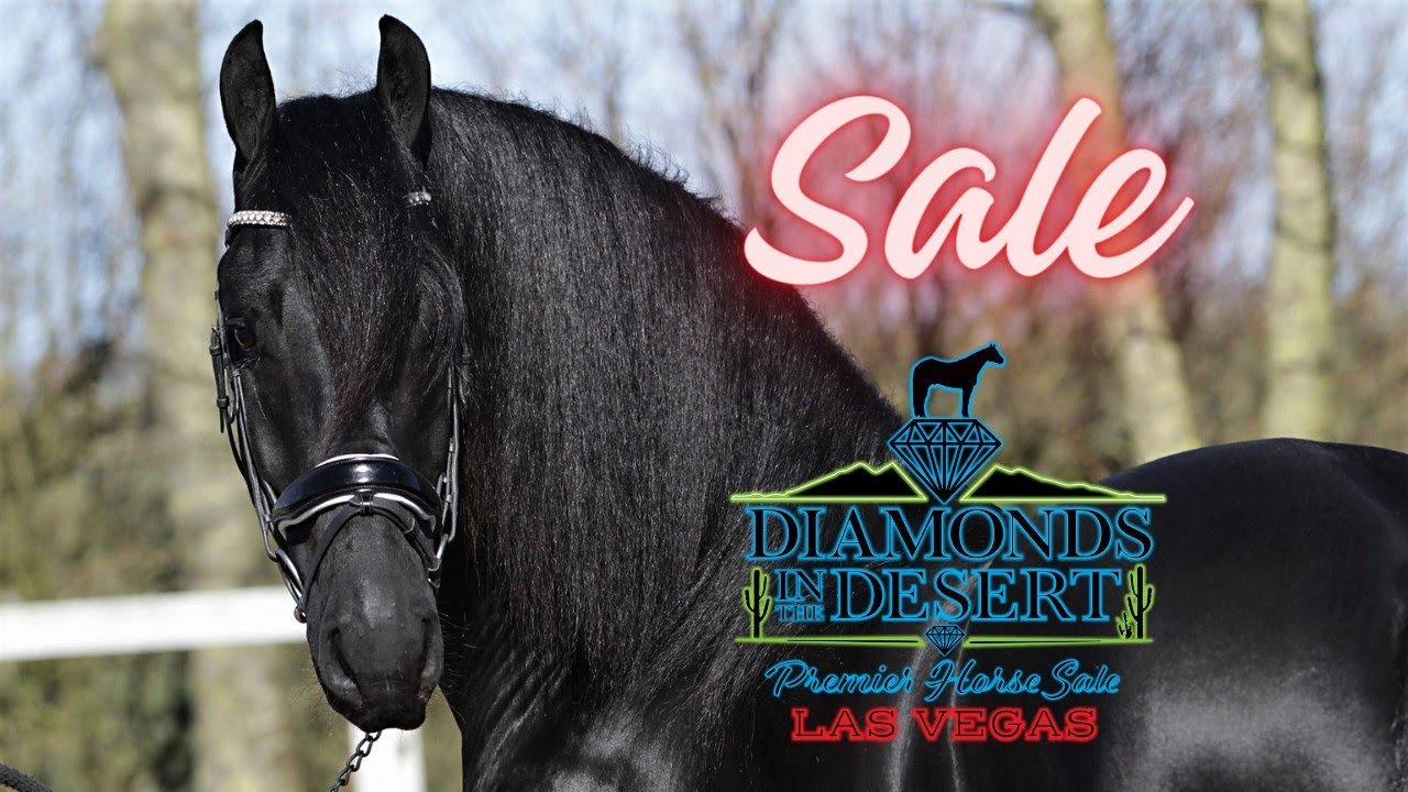 Part 1 - 2023 Diamonds in the Desert Premier Horse Sale